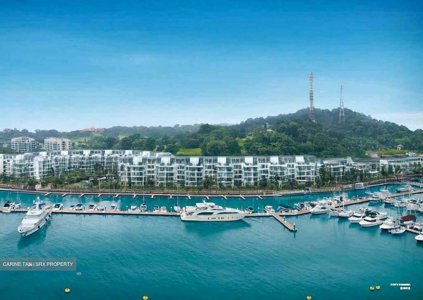 Marina Collection (D4), Condominium #582843381